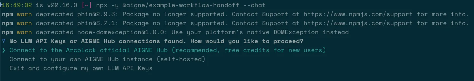 run example
