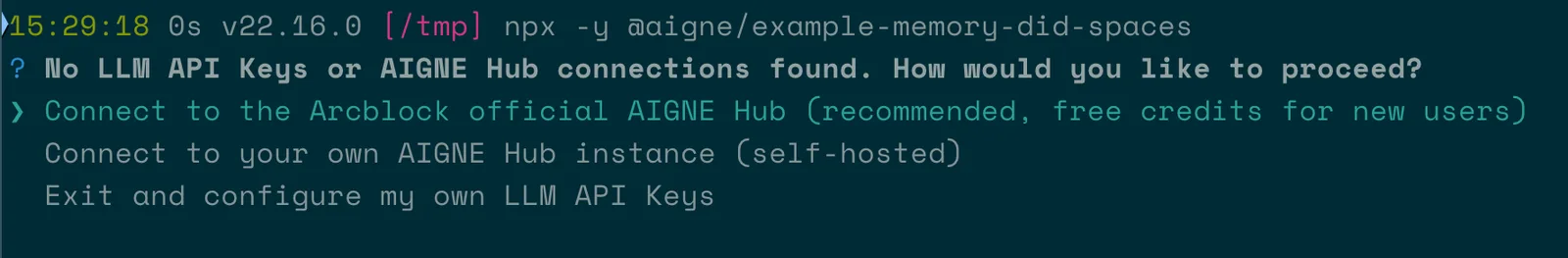 run-example.png