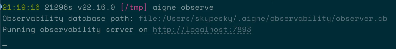 AIGNE Observe 伺服器在終端機中啟動
